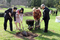 Tree Planting Ceremony