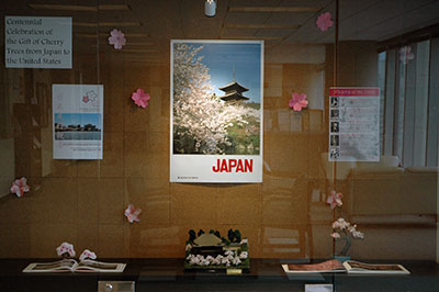 Display Case
