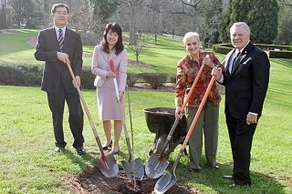 Tree planting