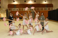 Japanese Gymnasts 2
