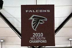 Falcons Banner
