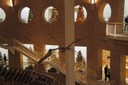 fernbank4