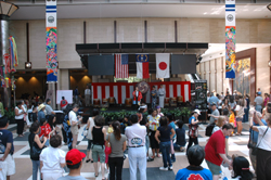 Stage