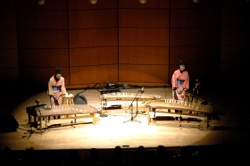 Tsugukaji on the Koto