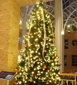 Japan Tree