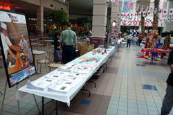 Mall Venue