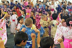 Shibata