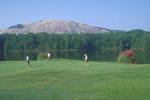 Stone Mountain