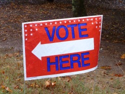 vote